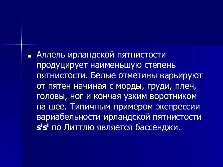 Аллель ирландской пятнистости продуцирует наименьшую степень пятнистости. Белые отметины варьируют