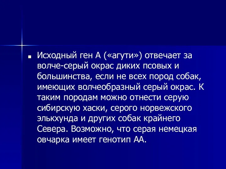 Исходный ген А («агути») отвечает за волче-серый окрас диких псовых