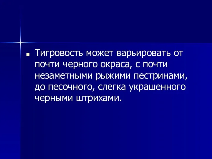 Тигровость может варьировать от почти черного окраса, с почти незаметными