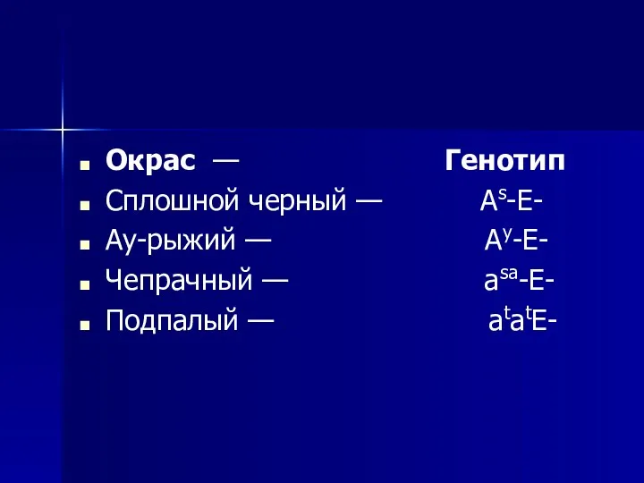 Окрас — Генотип Сплошной черный — As-Е- Ay-рыжий — Ay-Е- Чепрачный — asa-Е- Подпалый — atatЕ-