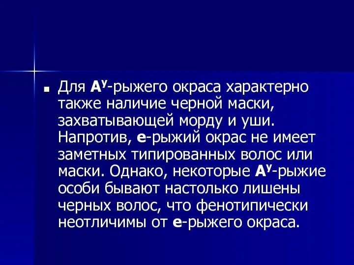 Для Аy-рыжего окраса характерно также наличие черной маски, захватывающей морду