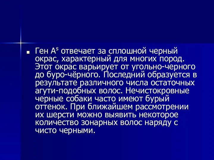 Ген As отвечает за сплошной черный окрас, характерный для многих