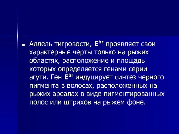 Аллель тигровости, Ebr проявляет свои характерные черты только на рыжих