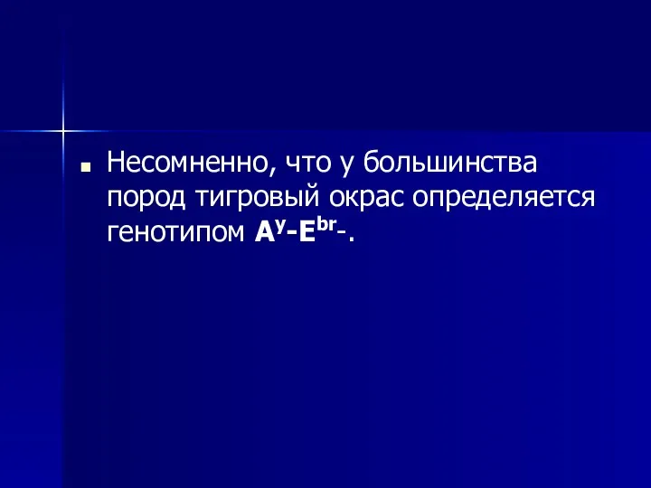 Несомненно, что у большинства пород тигровый окрас определяется генотипом Ay-Ebr-.