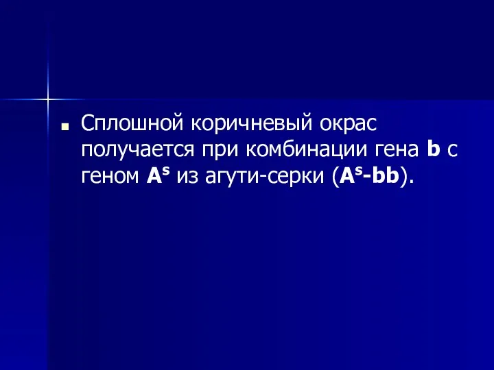 Сплошной коричневый окрас получается при комбинации гена b с геном As из агути-серки (As-bb).