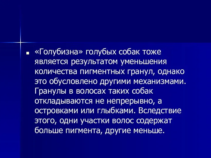 «Голубизна» голубых собак тоже является результатом уменьшения количества пигментных гранул,