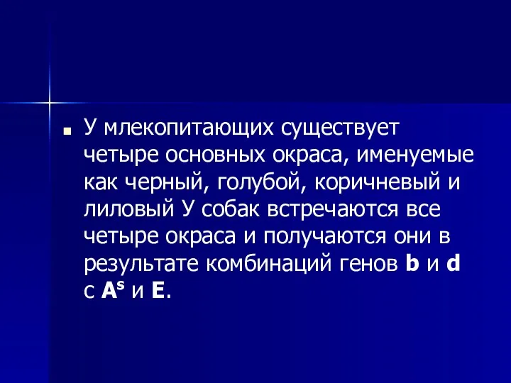 У млекопитающих существует четыре основных окраса, именуемые как черный, голубой,