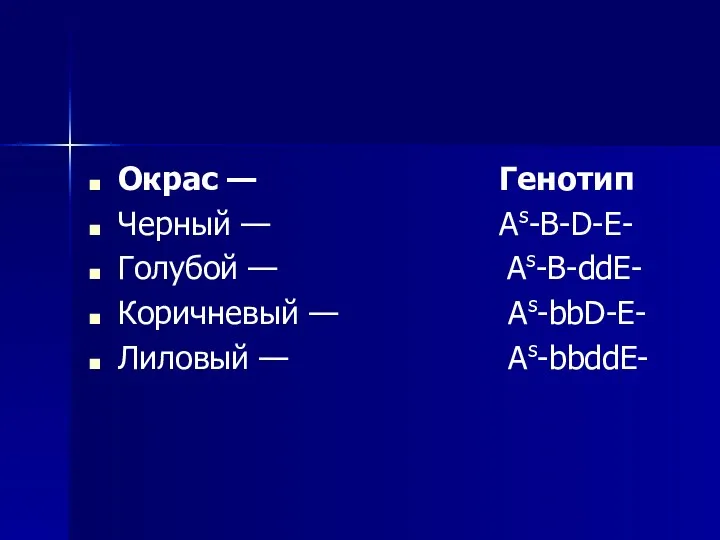 Окрас — Генотип Черный — As-B-D-E- Голубой — As-B-ddE- Коричневый — As-bbD-E- Лиловый — As-bbddE-