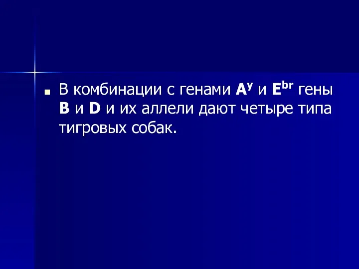 В комбинации с генами Аy и Ebr гены В и