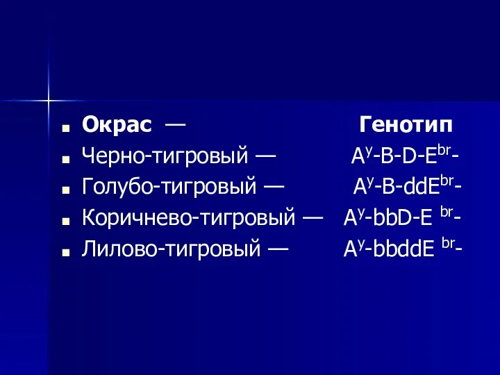 Окрас — Генотип Черно-тигровый — Ay-B-D-Ebr- Голубо-тигровый — Ay-B-ddEbr- Коричнево-тигровый