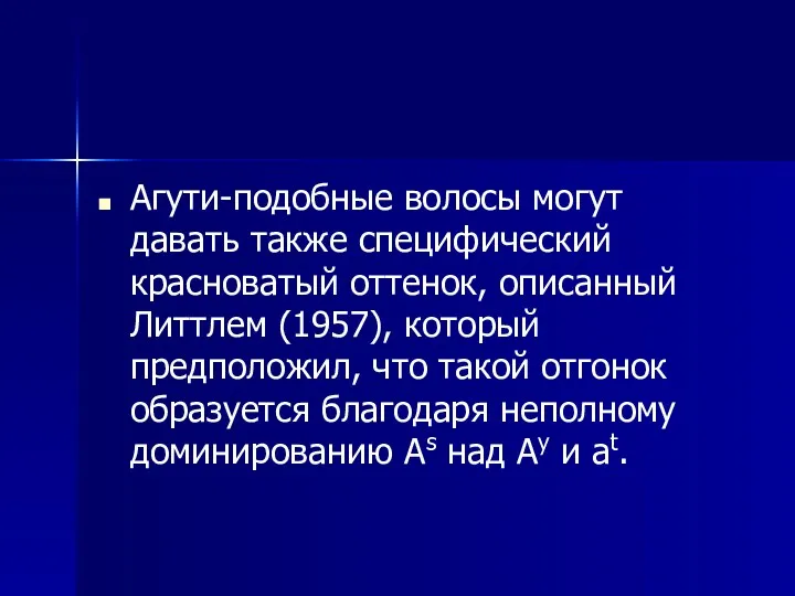 Агути-подобные волосы могут давать также специфический красноватый оттенок, описанный Литтлем