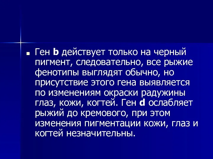 Ген b действует только на черный пигмент, следовательно, все рыжие