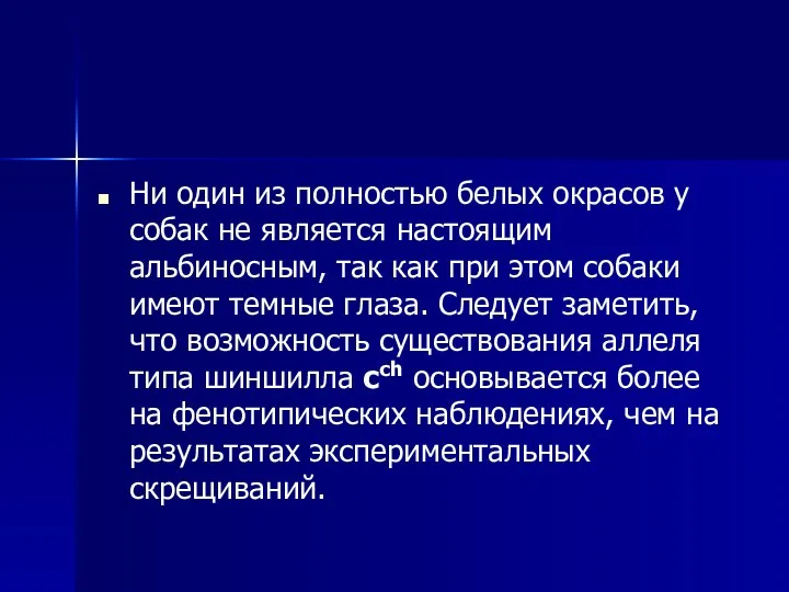 Ни один из полностью белых окрасов у собак не является