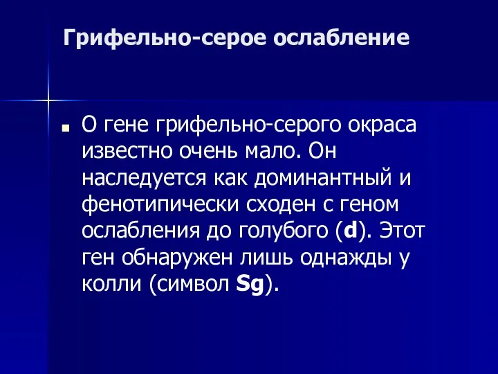 Грифельно-серое ослабление О гене грифельно-серого окраса известно очень мало. Он