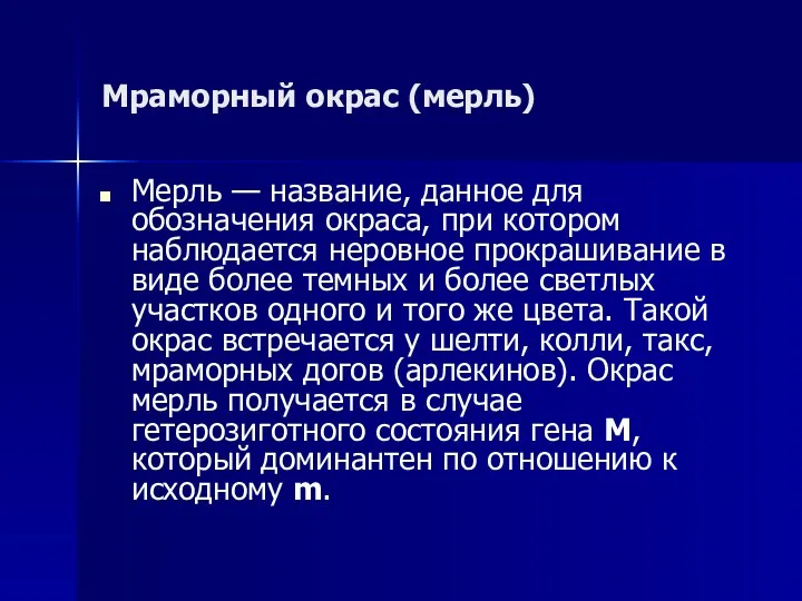 Мраморный окрас (мерль) Мерль — название, данное для обозначения окраса,