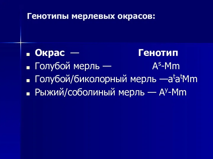 Генотипы мерлевых окрасов: Окрас — Генотип Голубой мерль — As-Mm