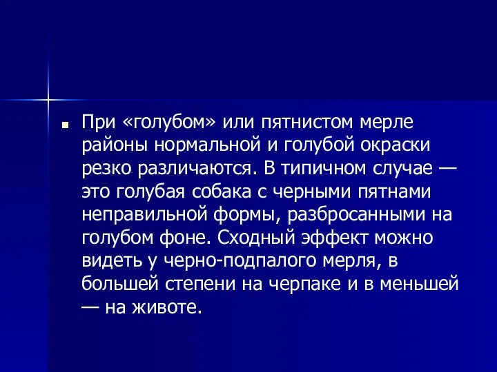 При «голубом» или пятнистом мерле районы нормальной и голубой окраски