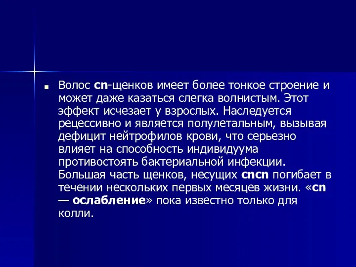 Волос cn-щенков имеет более тонкое строение и может даже казаться