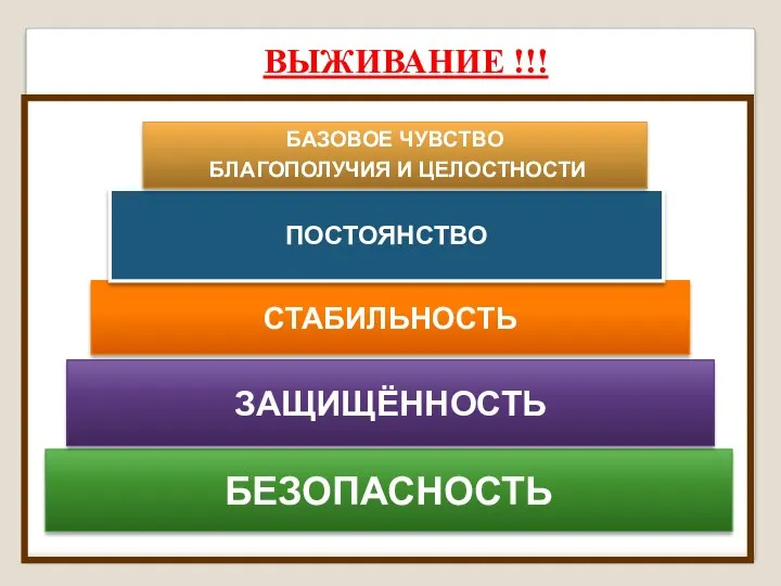 БЕЗОПАСНОСТЬ ЗАЩИЩЁННОСТЬ СТАБИЛЬНОСТЬ ПОСТОЯНСТВО БАЗОВОЕ ЧУВСТВО БЛАГОПОЛУЧИЯ И ЦЕЛОСТНОСТИ ВЫЖИВАНИЕ !!!