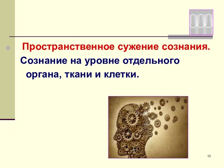 Пространственное сужение сознания. Сознание на уровне отдельного органа, ткани и клетки.