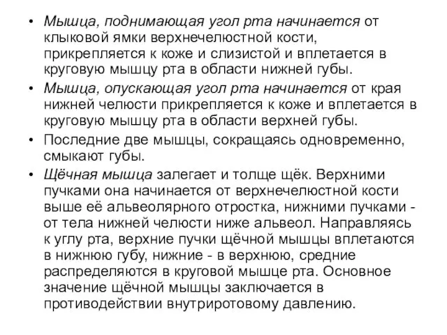 Мышца, поднимающая угол рта начинается от клыковой ямки верхнечелюстной кости,