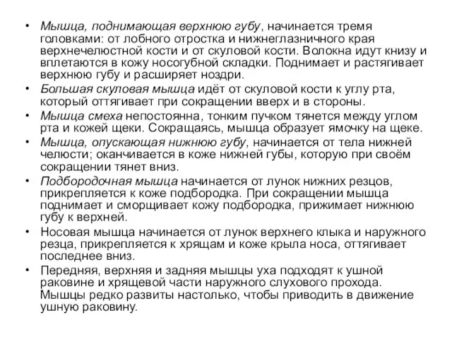 Мышца, поднимающая верхнюю губу, начинается тремя головками: от лобного отростка