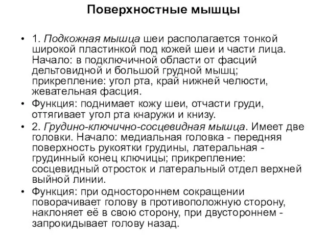 Поверхностные мышцы 1. Подкожная мышца шеи располагается тонкой широкой пластинкой