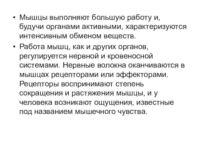 Мышцы выполняют большую работу и, будучи органами активными, характеризуются интенсивным