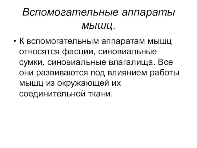 Вспомогательные аппараты мышц. К вспомогательным аппаратам мышц относятся фасции, синовиальные