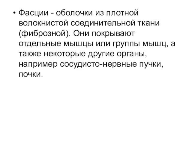 Фасции - оболочки из плотной волокнистой соединительной ткани (фиброзной). Они