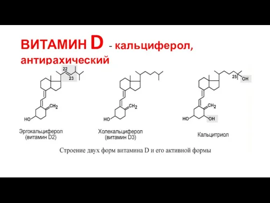 ВИТАМИН D - кальциферол, антирахический