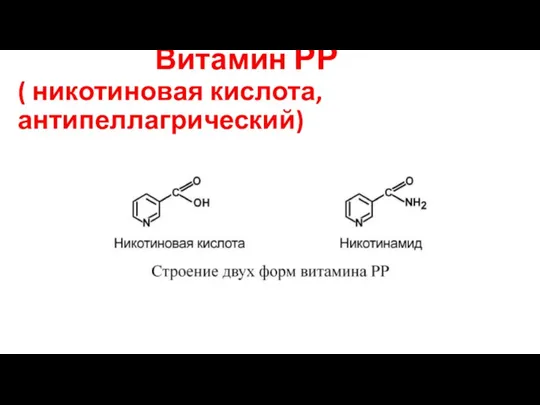 Витамин РР ( никотиновая кислота, антипеллагрический)