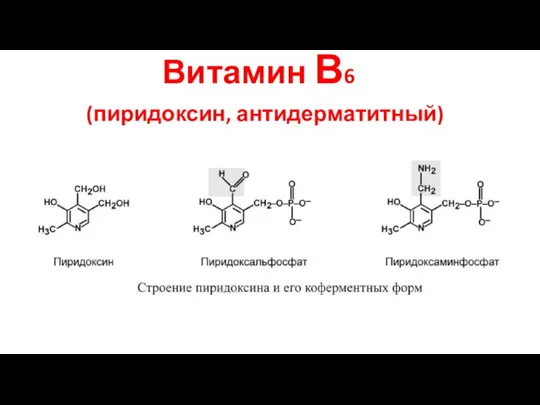 Витамин В6 (пиридоксин, антидерматитный)