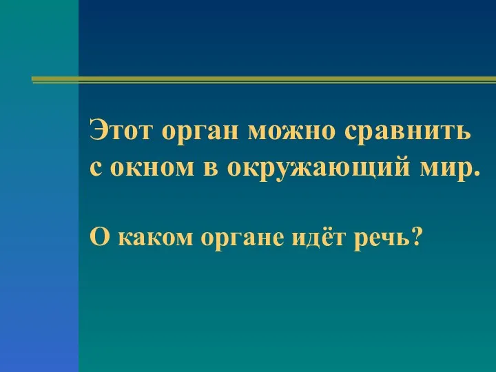 Этот орган можно сравнить с окном в окружающий мир. О каком органе идёт речь?