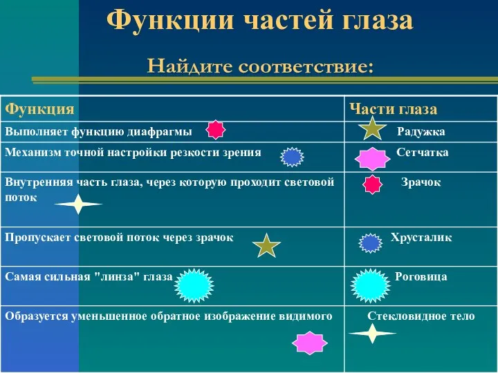 Функции частей глаза Найдите соответствие: