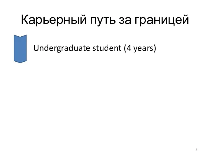 Карьерный путь за границей Undergraduate student (4 years)