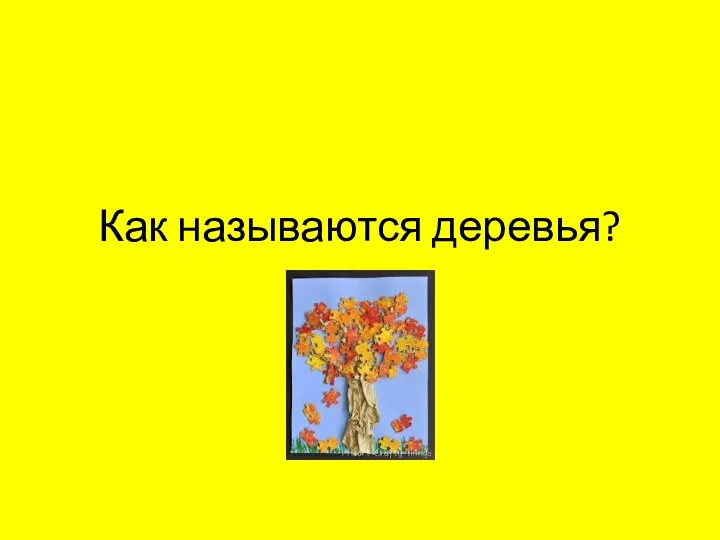 Как называются деревья?