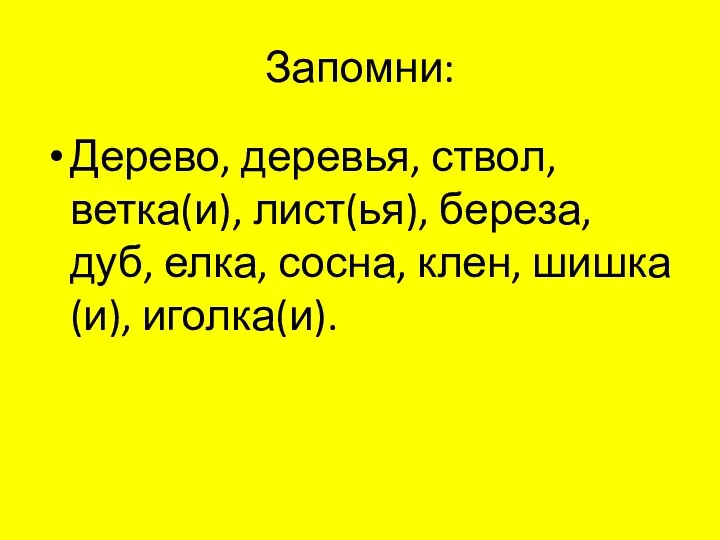 Запомни: Дерево, деревья, ствол, ветка(и), лист(ья), береза, дуб, елка, сосна, клен, шишка(и), иголка(и).