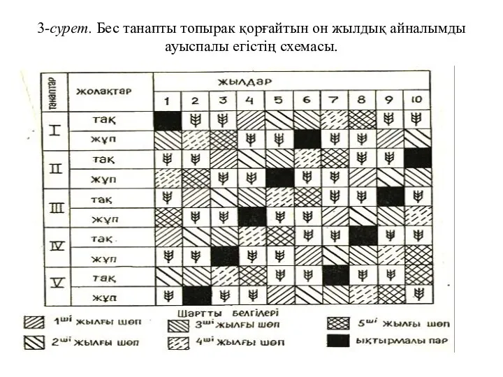 3-сурет. Бес танапты топырак қорғайтын он жылдық айналымды ауыспалы егістің схемасы.