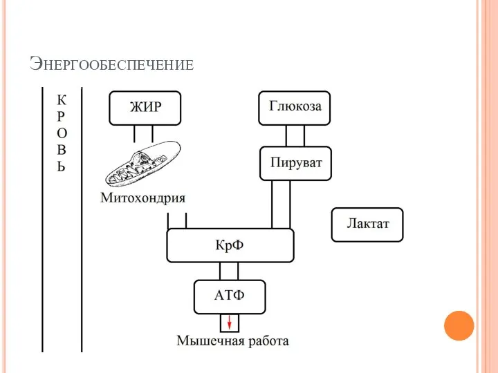 Энергообеспечение