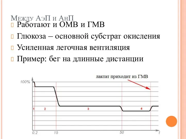 Между АэП и АнП Работают и ОМВ и ГМВ Глюкоза