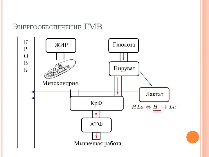 Энергообеспечение ГМВ