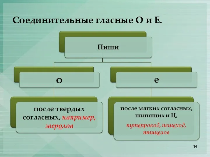 Соединительные гласные О и Е.