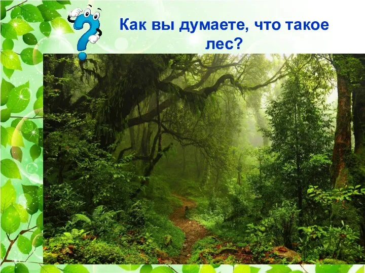 Как вы думаете, что такое лес?