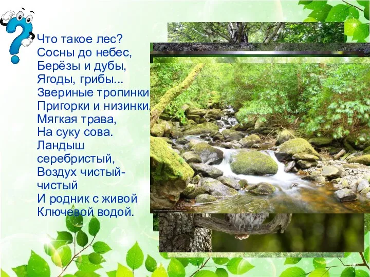 Что такое лес? Сосны до небес, Берёзы и дубы, Ягоды, грибы... Звериные тропинки,