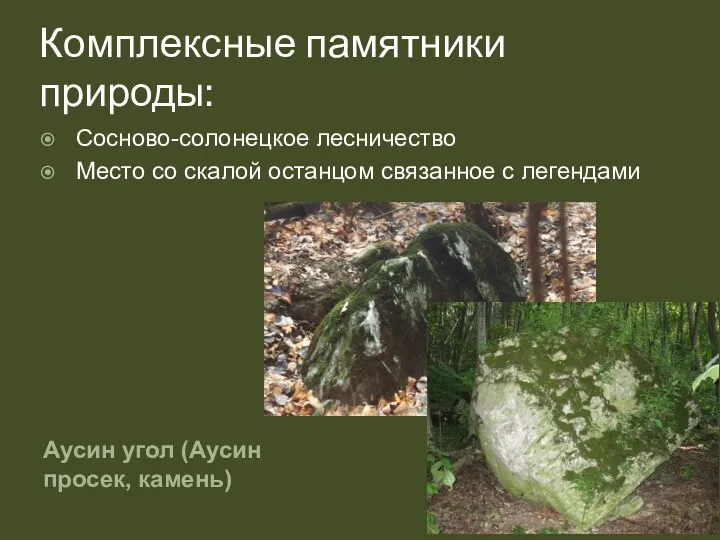 Комплексные памятники природы: Аусин угол (Аусин просек, камень) Сосново-солонецкое лесничество