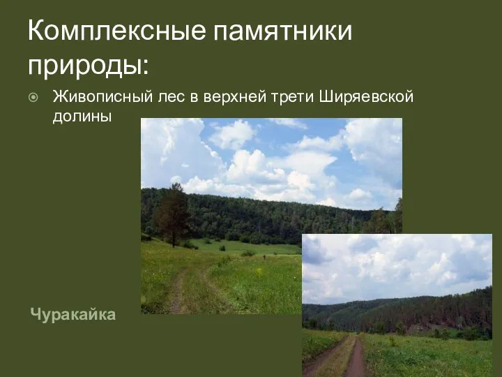 Комплексные памятники природы: Чуракайка Живописный лес в верхней трети Ширяевской долины