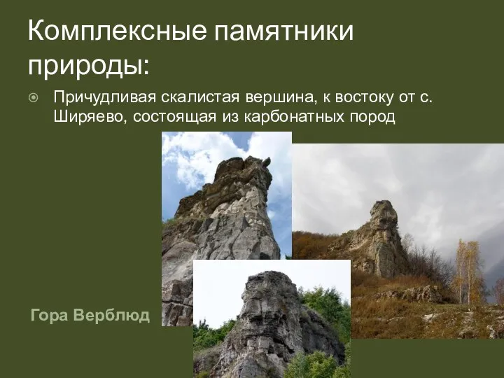 Комплексные памятники природы: Гора Верблюд Причудливая скалистая вершина, к востоку