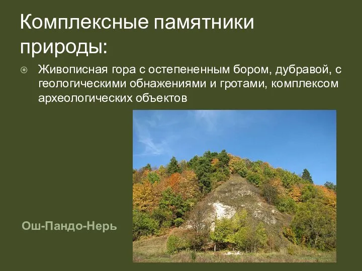 Комплексные памятники природы: Ош-Пандо-Нерь Живописная гора с остепененным бором, дубравой,