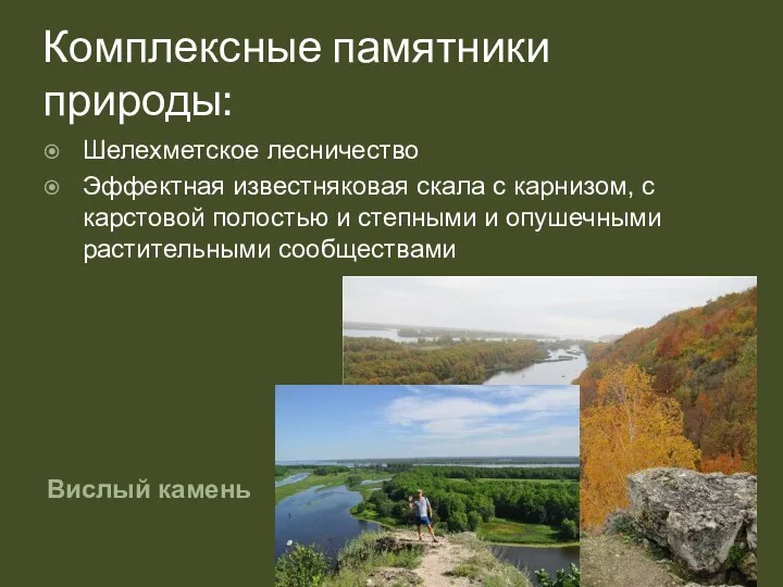 Комплексные памятники природы: Вислый камень Шелехметское лесничество Эффектная известняковая скала